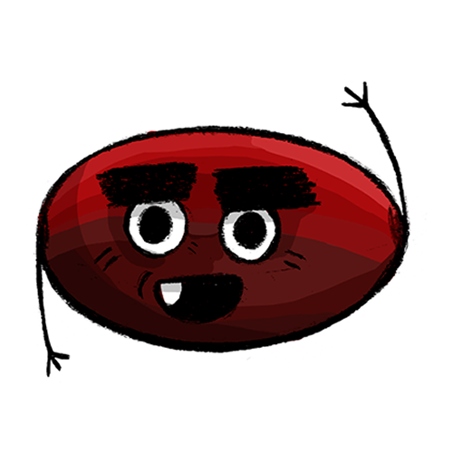 Datil